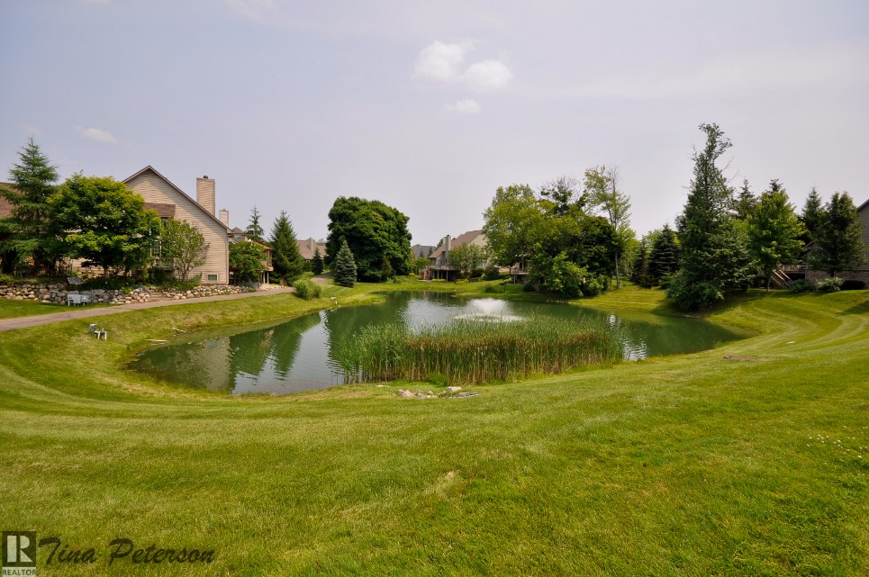 Pond at Oak Pointe Brighton MI