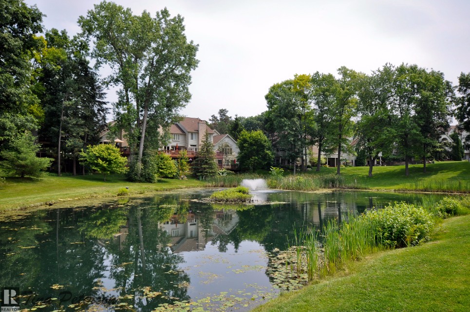 Oak Pointe pond