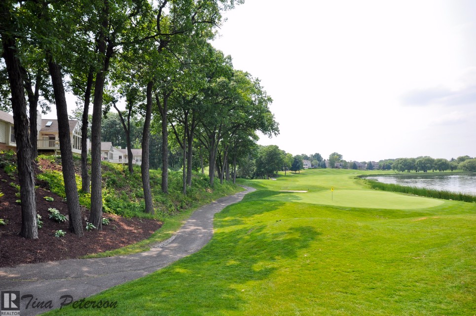 Oak Pointe Neighborhood Lake View