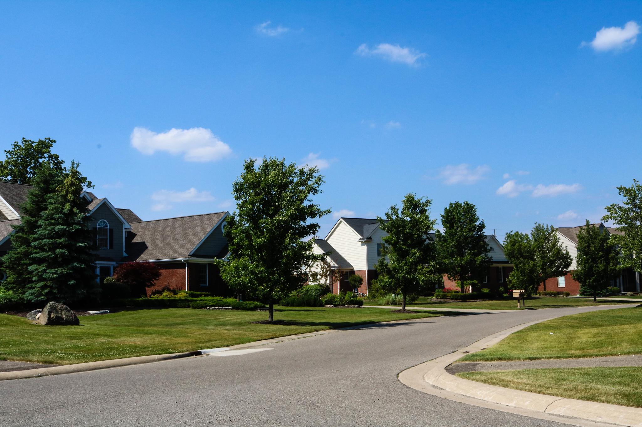 Tree lined street in Tanglewood